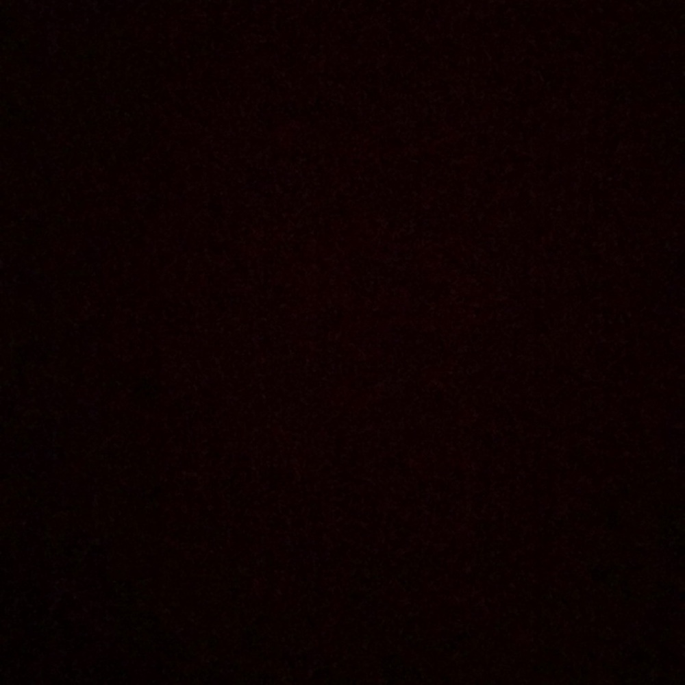 Meet your Posher, Ella